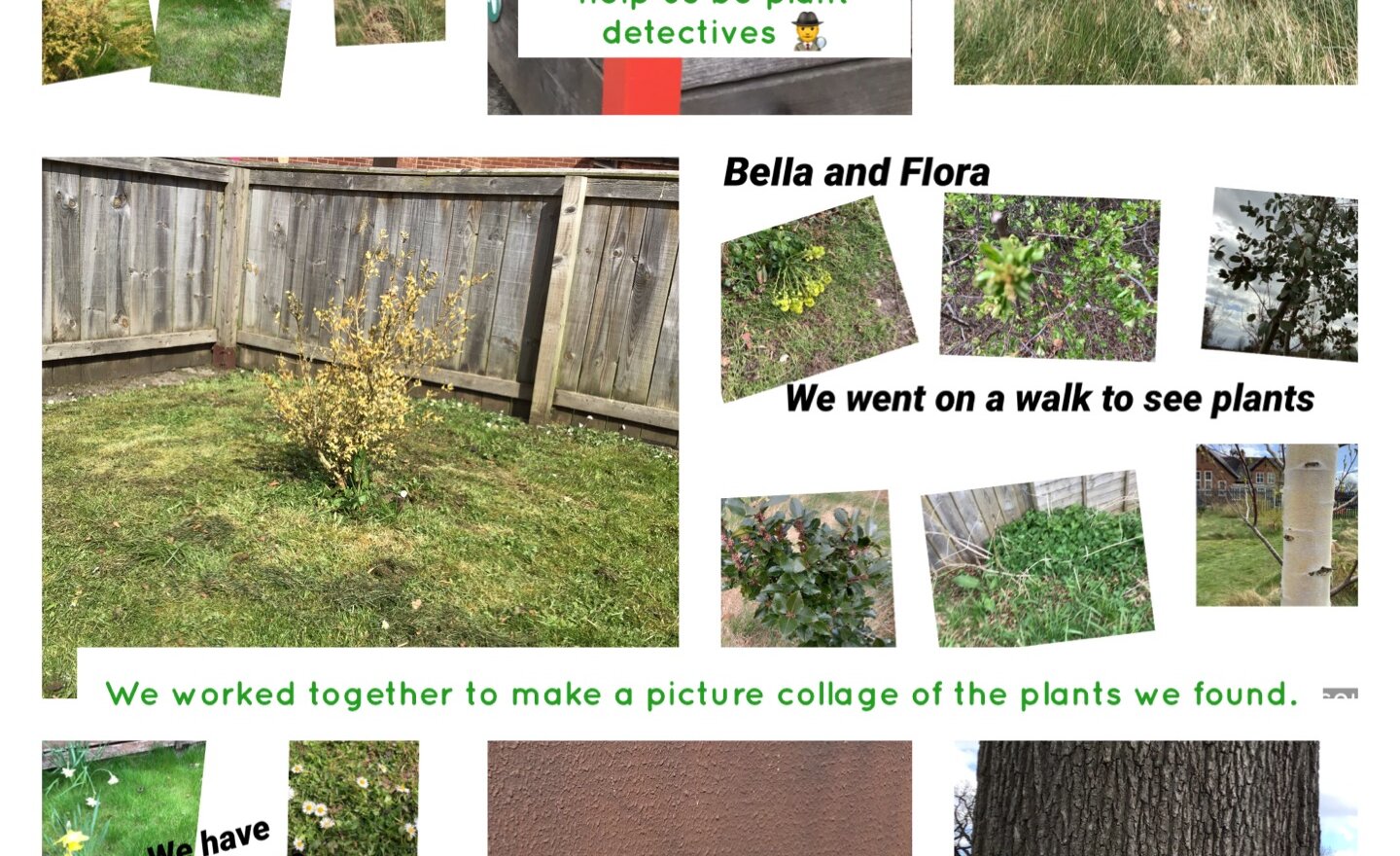 Image of Plant Detectives 