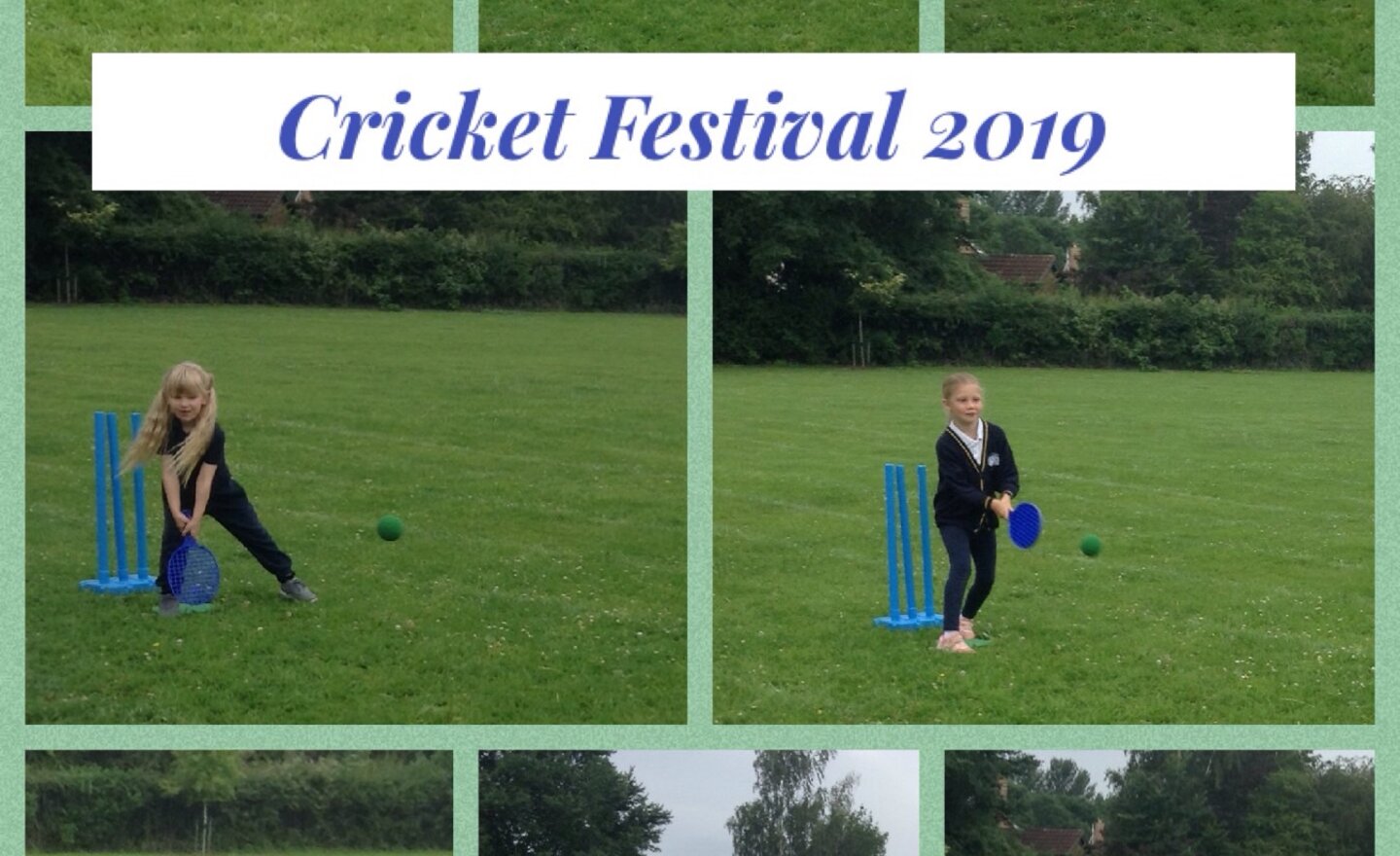 Image of Cricket Festival 2019 